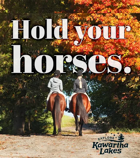 Kawartha Lakes Tourism, Hold Your Horses