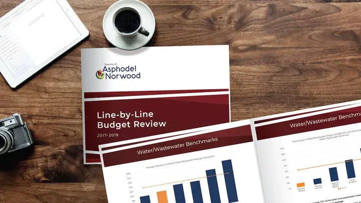 Line-by-Line Budget Review, 2017 to 2019 cover